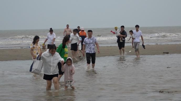 黃海濕地被列為全球第二塊潮間帶濕地遺產，晉升網紅打卡地