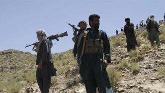 塔利班发言人：最早8月向阿富汗政府方面提交书面和平提议