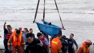 救援搁浅领航鲸：幸存9头将被分别送往海洋馆和海水养殖场