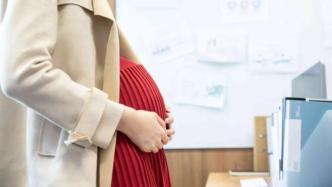 光明网：怀孕五个月被辞退，生育不该成为职场难题