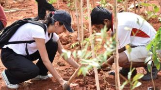 印度一地民众创世界纪录：一个小时内栽100万棵树苗