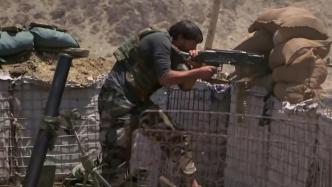 驻阿美军撤走，阿富汗政府军疑向塔利班缴械投降