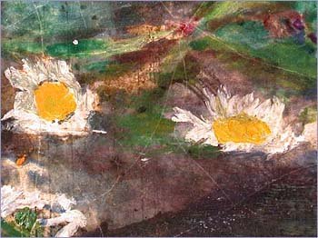 漂浮在奥菲莉娅右手边的雏菊代表着天真无邪。奥菲莉娅在第四幕第五场提到“有一朵雏菊”。