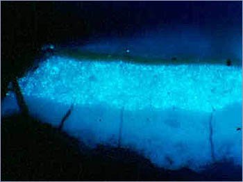 紫外光拍摄的《奥菲莉娅》截面。 ©Tate（2003）