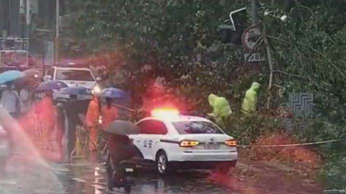 上海暴雨大風致大樹傾倒壓倒信號燈，警方應急救援保道路安全