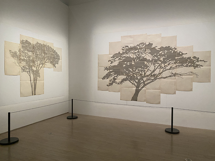 “树，树”展览现场