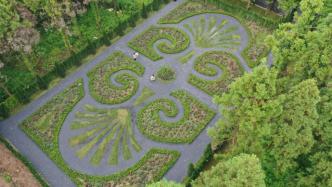 真凡尔赛！上海崇明建了一座法式花园，取景于法国凡尔赛宫
