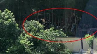 十多人為追星被困山中報(bào)警求救：“追星鬧劇”當(dāng)休矣