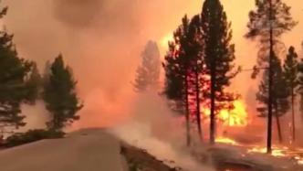 美国俄勒冈州山火过火面积超813平方公里
