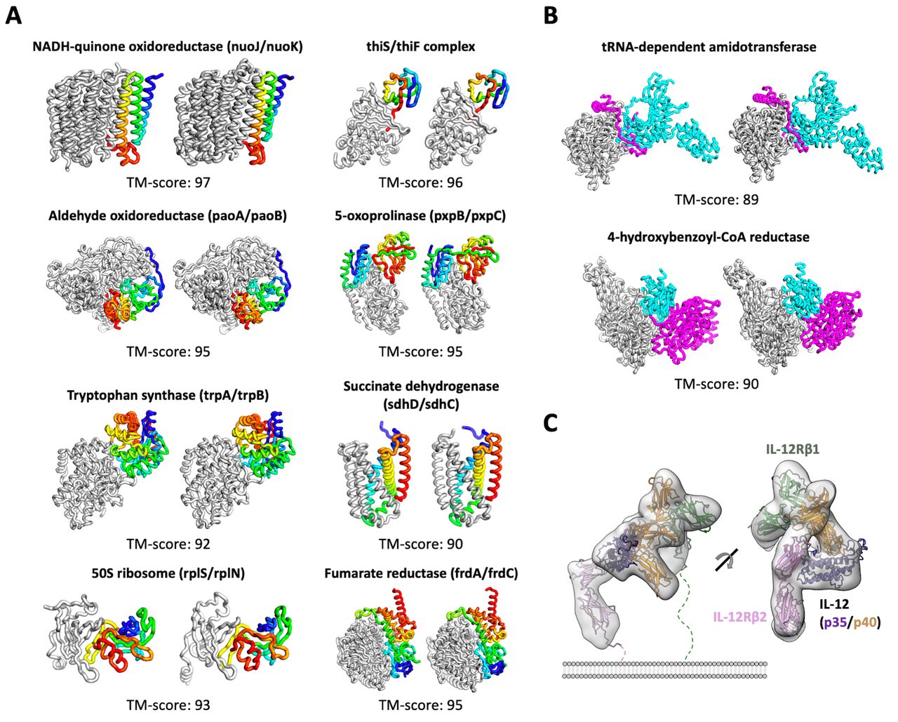 AlphaFold2 I: 蛋白质接结构介绍 - 知乎