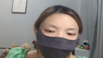 金毛因不良托運致死，主人：曝光不良公司比賠償更重要