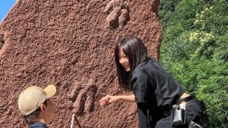 中国学者将恐龙足迹命名为“野比”引日媒关注，博物馆将收藏复制品