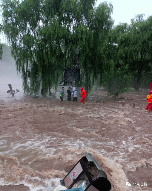 北京延庆区山洪暴发,3名男子河中抱树求生