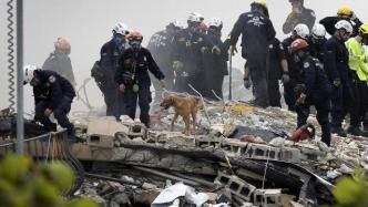 国际救援专家：美国佛州塌楼搜救“浪费了太多时间”