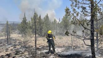 记者探访美国俄勒冈州山火火场，林区危机四伏