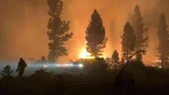 俄勒冈州山火过火面积近1200平方公里，上千居民被迫撤离