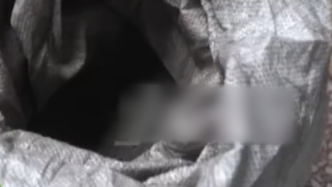 夫妻花8萬(wàn)買(mǎi)70斤土煉金，里面一克黃金都沒(méi)有