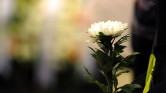 96岁新四军女战士、武汉市委老干部局离休干部孙维理逝世