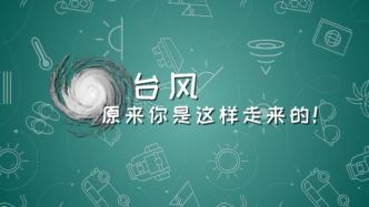 “烟花”来袭！上海市气象局为你揭秘台风路径的那点“套路”