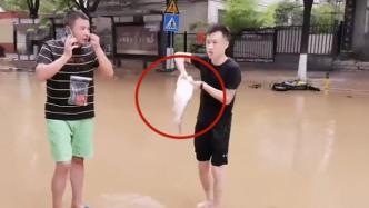 暴雨下郑州市民上街捞鱼，专家：被洪水接触过的食物不能吃