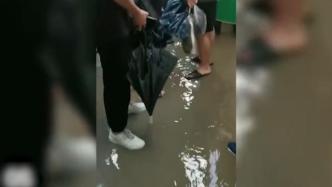 郑州主持人小佩手机拍摄地铁被困全程视频：积水一度漫过胸部