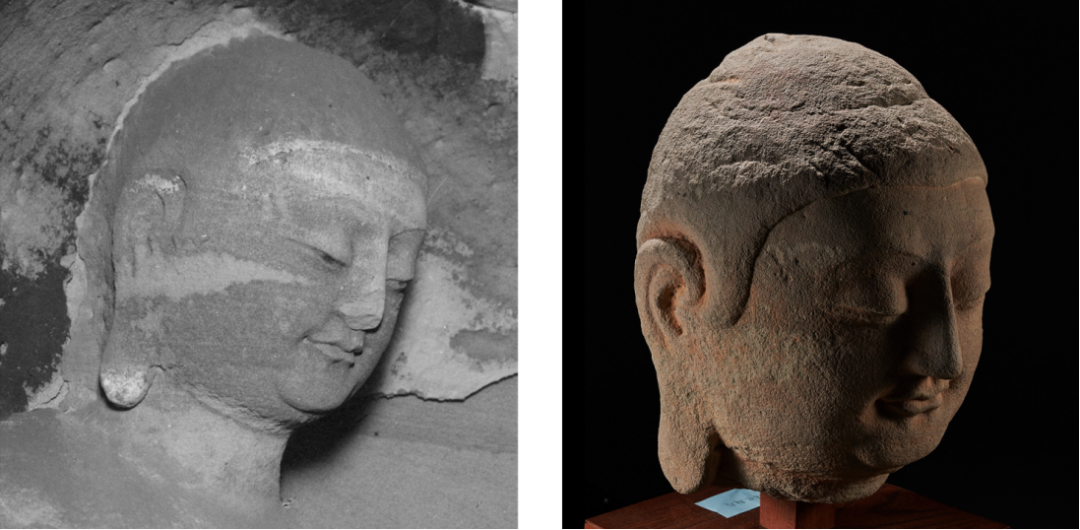 岩田《天龙山石窟》图版41截图（左图），佛首回运后拍摄的高清图片（右图 罗征/摄）。国家文物局供图 