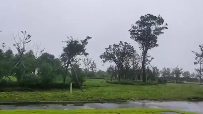 台风眼区域什么样？风平浪静有小鸟叫