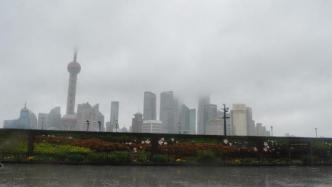 上海明天预计有大暴雨到特大暴雨，陆地最大风力或达12级