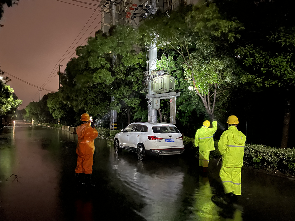 国网上海市北供电公司输电运检班组对跳闸线路进行特巡。本文图片 国网上海市电力公司 供图