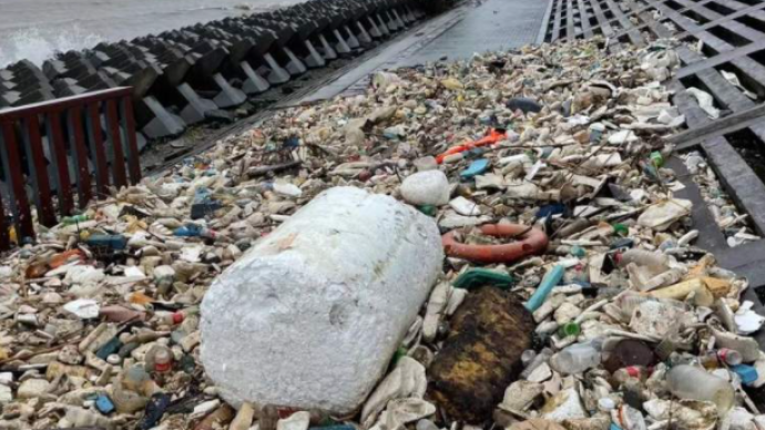 台风走了垃圾来了 上海一处海边惊现大量海洋垃圾待清理