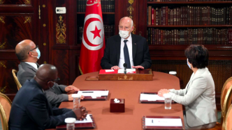 突尼斯总统解除两部长职务，称“军队已做好准备”