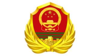 武警部队徽将于8月1日启用，国防部介绍式样和寓意