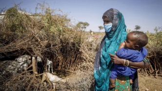 联合国报告：全球23地粮食短缺恐加剧