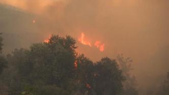 土耳其山火持续蔓延，当地官员：大火正威胁到一座发电厂