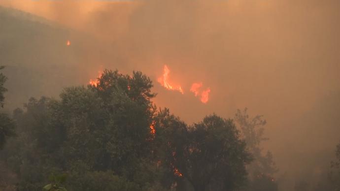 土耳其山火持续蔓延，当地官员：大火正威胁到一座发电厂