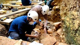 西班牙阿塔普埃尔卡考古新发现：140万年前已有人类居住