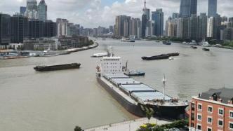目击者描述浦东滨江被撞瞬间：海船直直撞向渡口，比雷还响