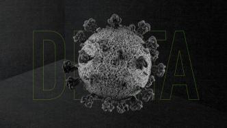 新冠病毒变异毒株德尔塔，你知道多少？