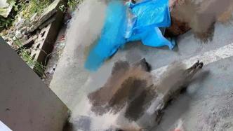 贵州一小区多只宠物犬疑被投毒致死，物业：正协助警方调查