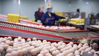 农业农村部监测：鸡蛋价格一个月涨近20%