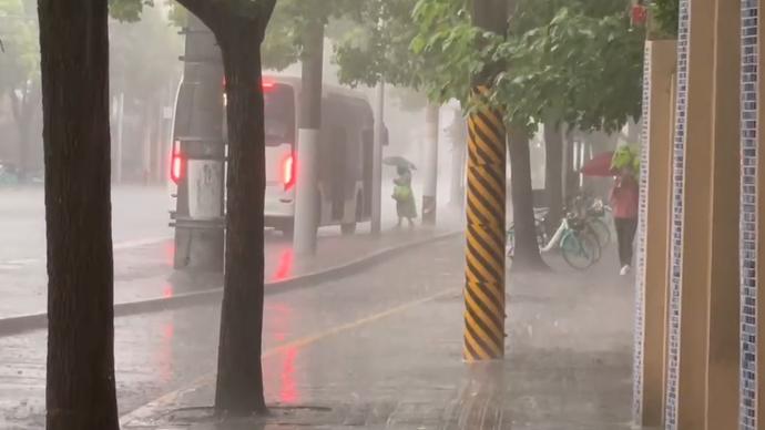 “黄梅天”体感又上线！今起三天大雨暴雨组团来袭申城