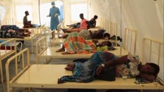 马尔堡病毒死亡案例首现几内亚，致死率可达88%