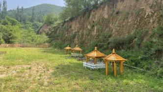 揭秘寵物墓地：不火化直接埋，無資質(zhì)、上萬價格直逼房價