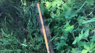 上海崇明发现一枚废旧炮弹，专家判断为战时榴弹，仍具杀伤力