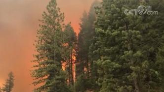 美国林火持续肆虐，消防员灭火须自备三天水粮
