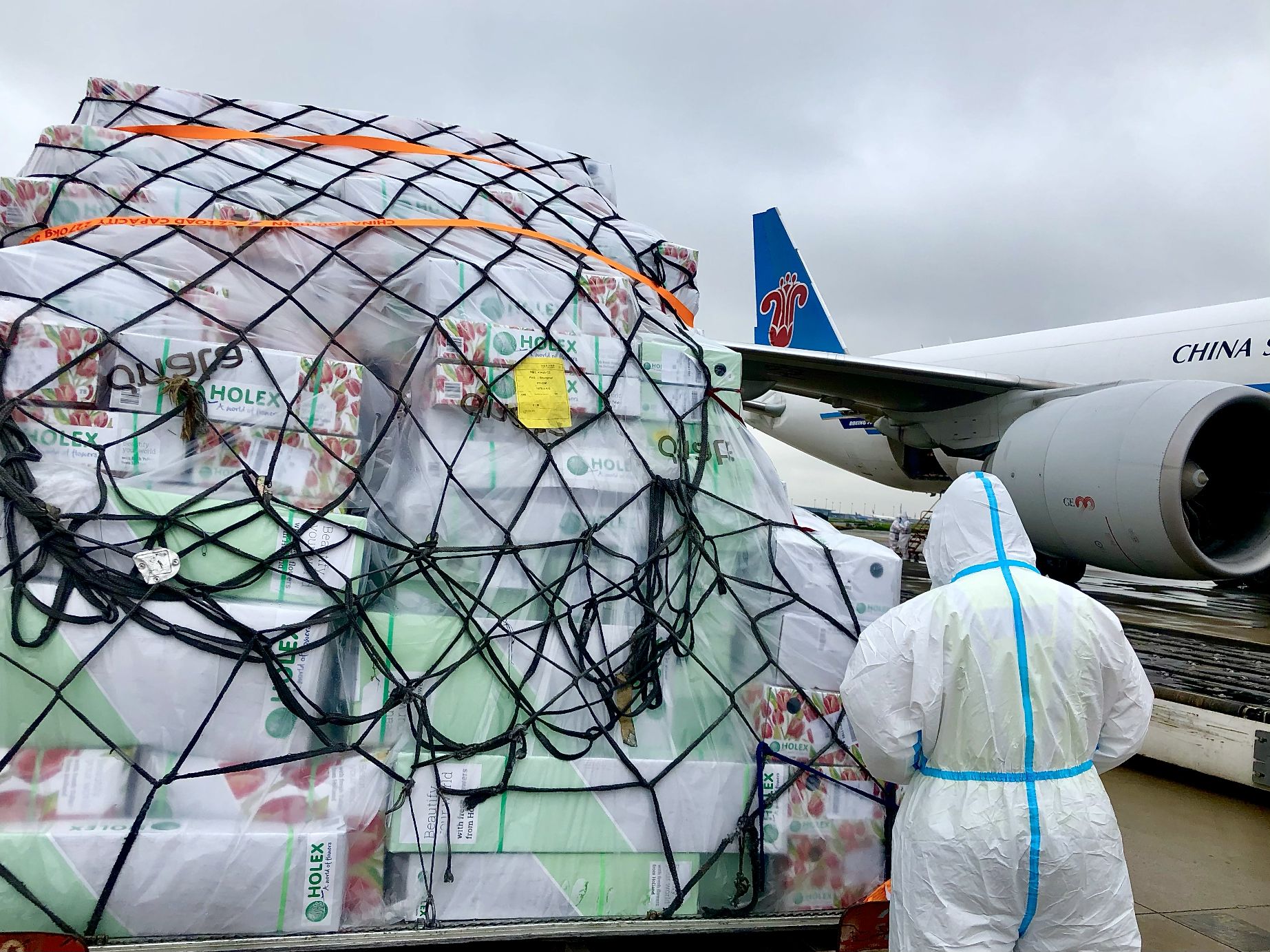 七夕临近,航空运输鲜花量上涨.南航 供图