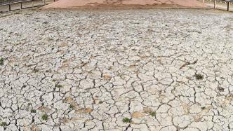 陕西总受旱面积近千万亩，省防总启动IV级抗旱应急响应