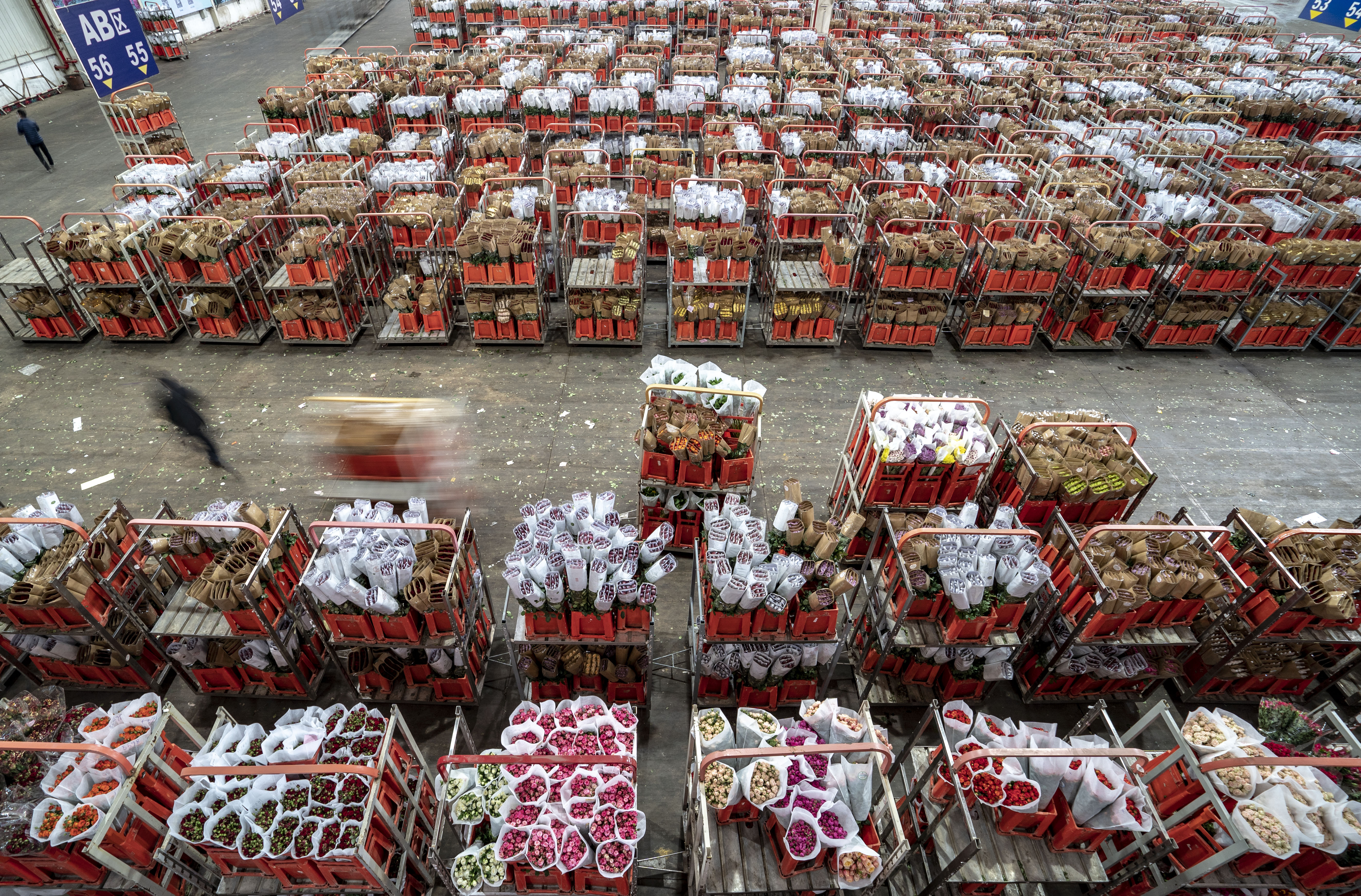 这个七夕走 花路 探访亚洲最大鲜切花交易市场 上直播 澎湃新闻 The Paper