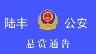 广东陆丰警方悬赏通缉5名涉毒逃犯，举报1人奖励80万
