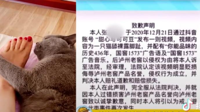 女子让猫舔脚配广告音乐被判赔7万，律师：泸州老窖维权合法